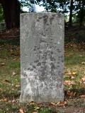 image of grave number 710105
